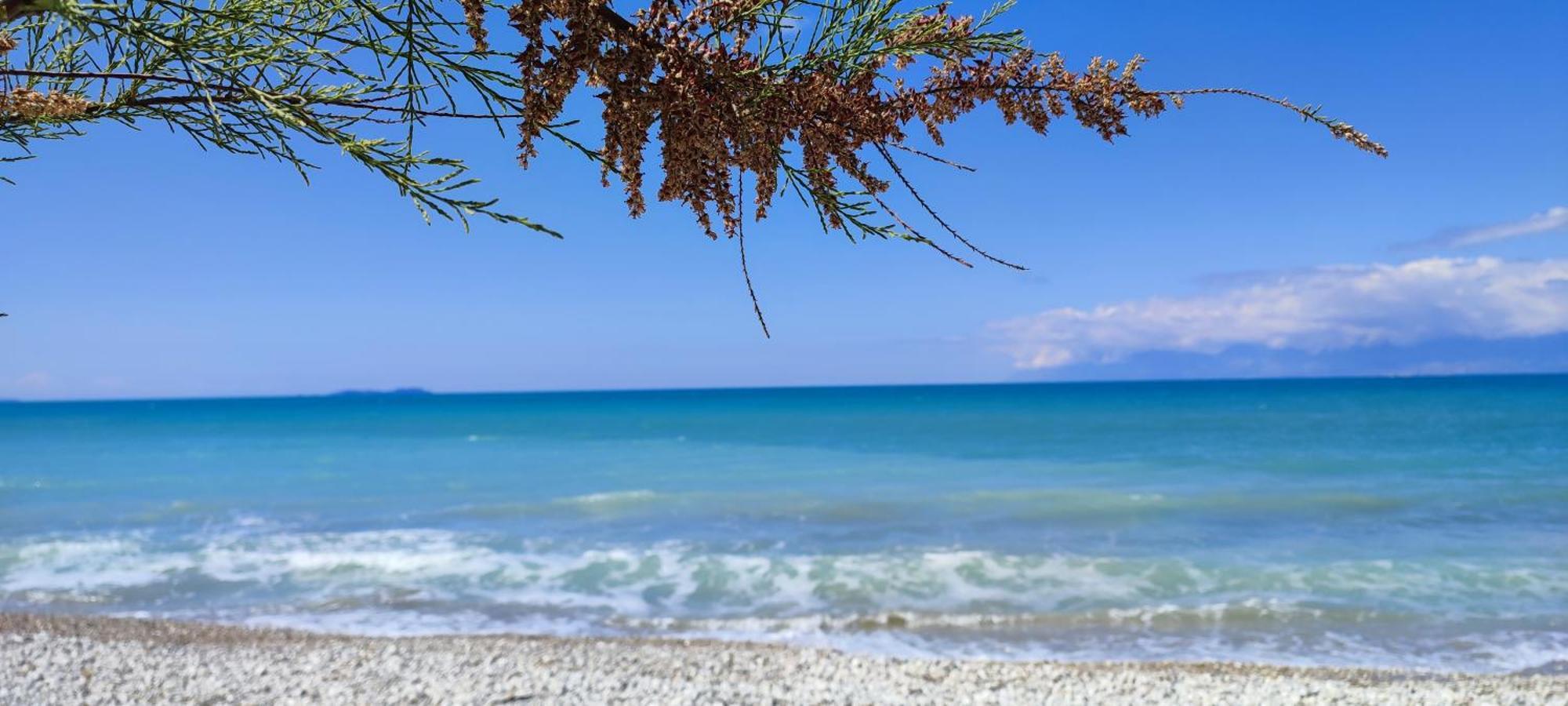 Agapi Studio Acharavi A 50M De La Mer, 400M Du Centre Ville Dış mekan fotoğraf
